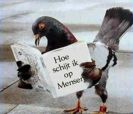 dat moet je ook leren hè